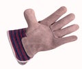 Protection Glove