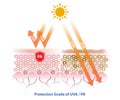 Protection grade of UVA PA blocks UVA ray vector on white background.