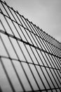 Protection iron net Royalty Free Stock Photo
