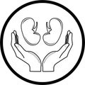 Protection of kidneys. Vector medical icon.