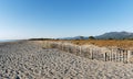 Lido de la marana sand dunes in Corsica coast Royalty Free Stock Photo