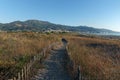 Lido de la marana sand dunes in Corsica coast Royalty Free Stock Photo