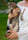 A little kitten in the arms of a girl who holds a phone in her hand