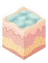 Protection uv ray skin. Illustration about Skin care concept. Sun protection body adipose layers epidermis, vector