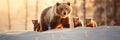 Protective female brown bear (ursus arctos) standing close to her three cubs.