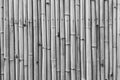 Protective fence from dry sticks of a bamboo of sepia color for the abstract textured background Royalty Free Stock Photo