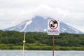 Protective fence under high voltage against bears