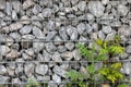 Protective gabions with grey broken stones behind grid as solid fence and solid wall and decorative element in gardens with rough