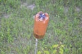 Protective mechanism from plastic bottles against moles for the garden and vegetable