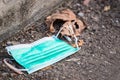 Protective medical mask is lying like garbage on the asphalt, the used mask was crushed and thrown away, medical waste, photos on