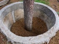 Protective structures of annular shape around the tree