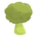 Protein brocoli icon, cartoon style