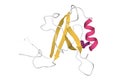 Structure of human interleukin-16 protein