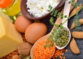 Protein food : eggs, almonds, lentils, cheese, walnut, and curd Royalty Free Stock Photo