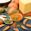 Protein food, eggs, almonds, lentils, cheese, walnut, and curd Royalty Free Stock Photo