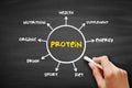 Protein are large biomolecule and macromolecule that comprise one or more long chains of amino acid residues, mind map concept Royalty Free Stock Photo