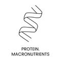 Protein line icon in vector, macronutrient illustration.