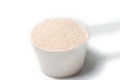 Protein powder chocolate deluxe flavour isolated