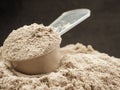 protein powder for diet