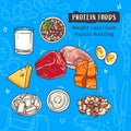 Protein-rich foods on a blue background. Hand-drawn vector illustration Royalty Free Stock Photo