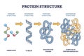 Protein structure levels from amino acid to complex molecule outline diagram
