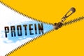 Protein word under zipper