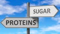 Proteins and sugar as a choice - pictured as words Proteins, sugar on road signs to show that when a person makes decision he can