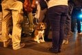 Protest in Bucharest, Romania