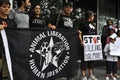 Protest Japan Taiji fishermen dolphin