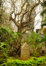 Protestant cemetery Macao