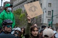 Protester holding pro-choice signs in New York Royalty Free Stock Photo