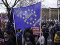 Protesters during anti Brexit demonstration, London, March 2019