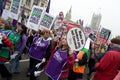 Protesters at the Houses of Parliament