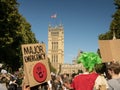 Protesters march in London as part of the worldwide strike for climate change