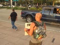 Protesters in traffic, Tampa, Florida Royalty Free Stock Photo