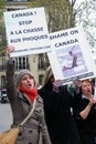 Protests against Canadian seal hunt Royalty Free Stock Photo