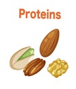 Protiens text with various of nuts Royalty Free Stock Photo