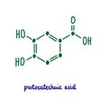 Protocatechuic acid hand drawn vector formula chemical structure lettering blue green