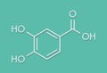 Protocatechuic acid PCA green tea antioxidant molecule. Skeletal formula.