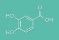 Protocatechuic acid PCA green tea antioxidant molecule. Skeletal formula. Royalty Free Stock Photo