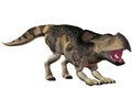 Protoceratops Royalty Free Stock Photo