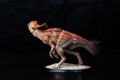 Protoceratops , dinosaur on black background Royalty Free Stock Photo