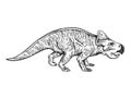 Protoceratops dinosaur engraving vector Royalty Free Stock Photo