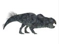 Protoceratops Dinosaur Side Profile Royalty Free Stock Photo