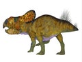 Protoceratops Male Dinosaur Tail Royalty Free Stock Photo
