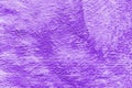 Proton Purple paint. Abstract painted decorative wall background