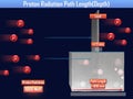 Proton Radiation Path Length (3d illustration)