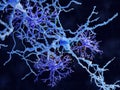 Astrocyte-neuron communication through chemical signals