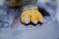 Prototype art object 3D printed melted blue plastic Model paw created 3D printer Royalty Free Stock Photo