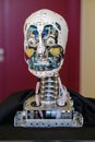 Prototype electronically mechanical robot android